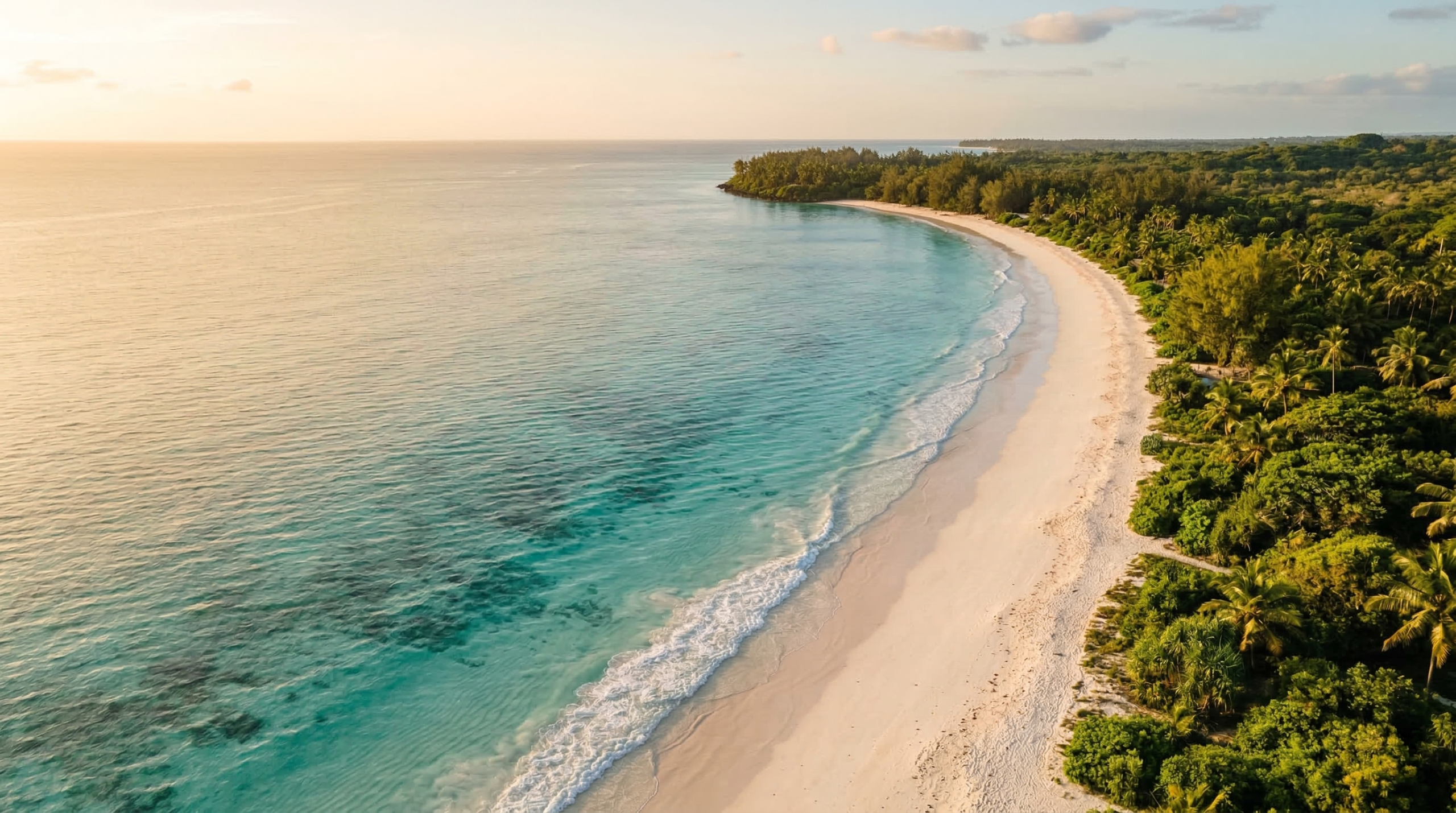 Zanzibar coastline — download the free NyotaLiving property guide for international buyers